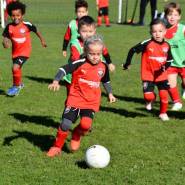 786930686572048 8018204921883769072 n